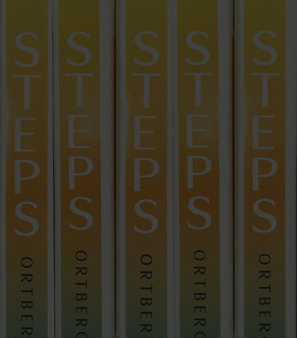 What I Learned from Steps