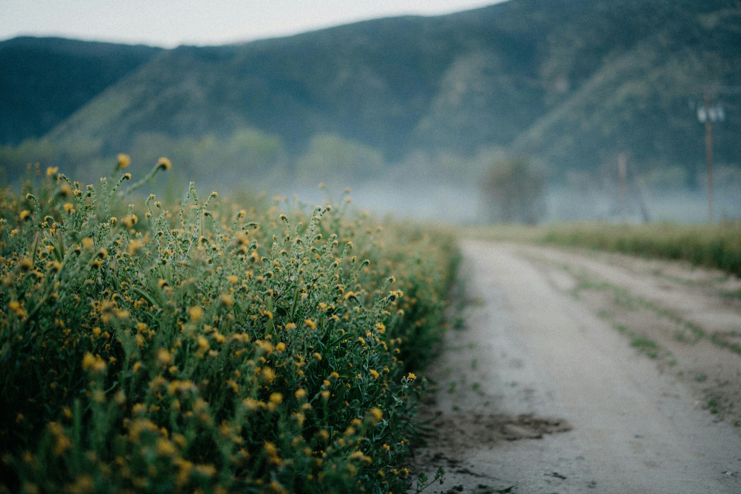 Slowing Down Without Falling Behind